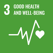 SDG 13